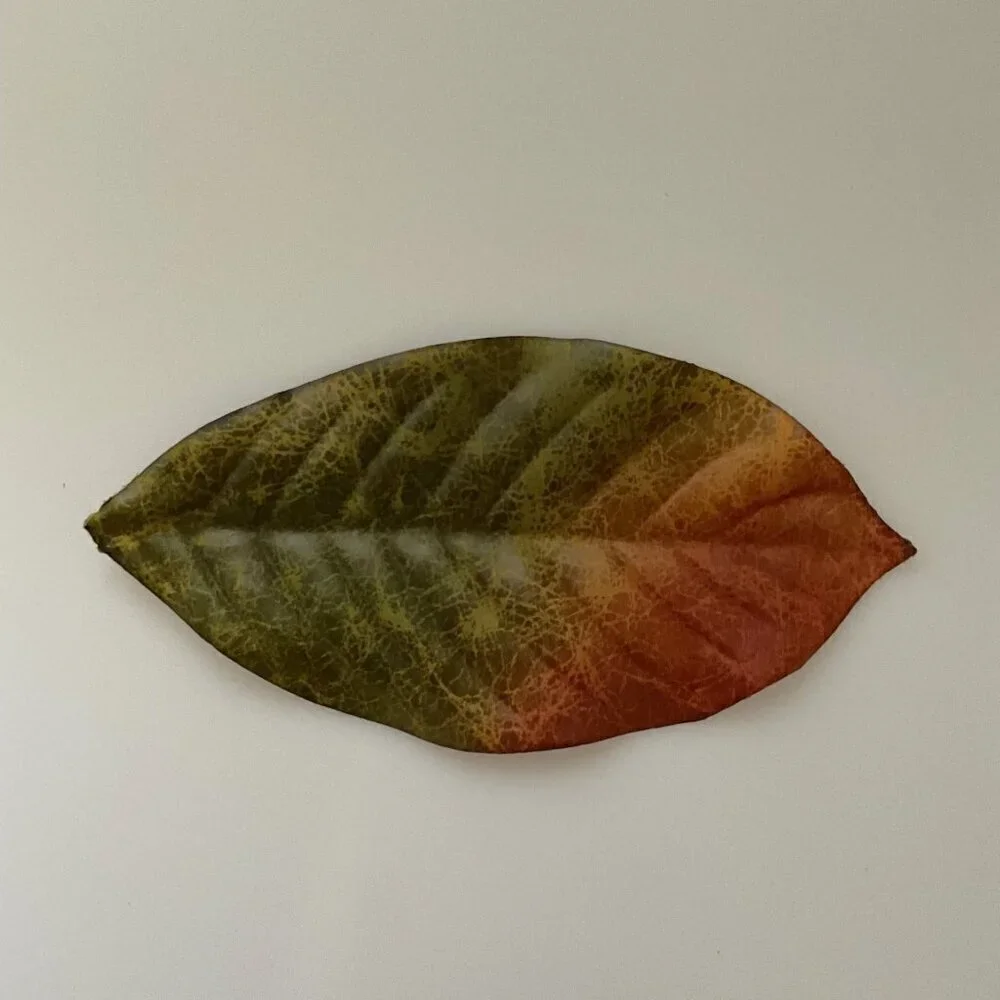 MAGNOLIA BIG LEAVES  DIY BUNDLE CRAFTS HOME DECOR 30 LEAVES 4 BRANCHES